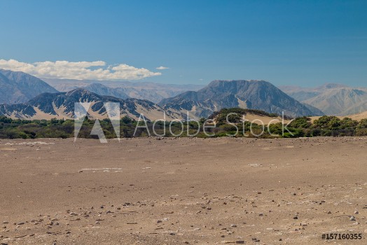 Picture of Desert surrounding Chauchilla cemetery in Nazca Peru